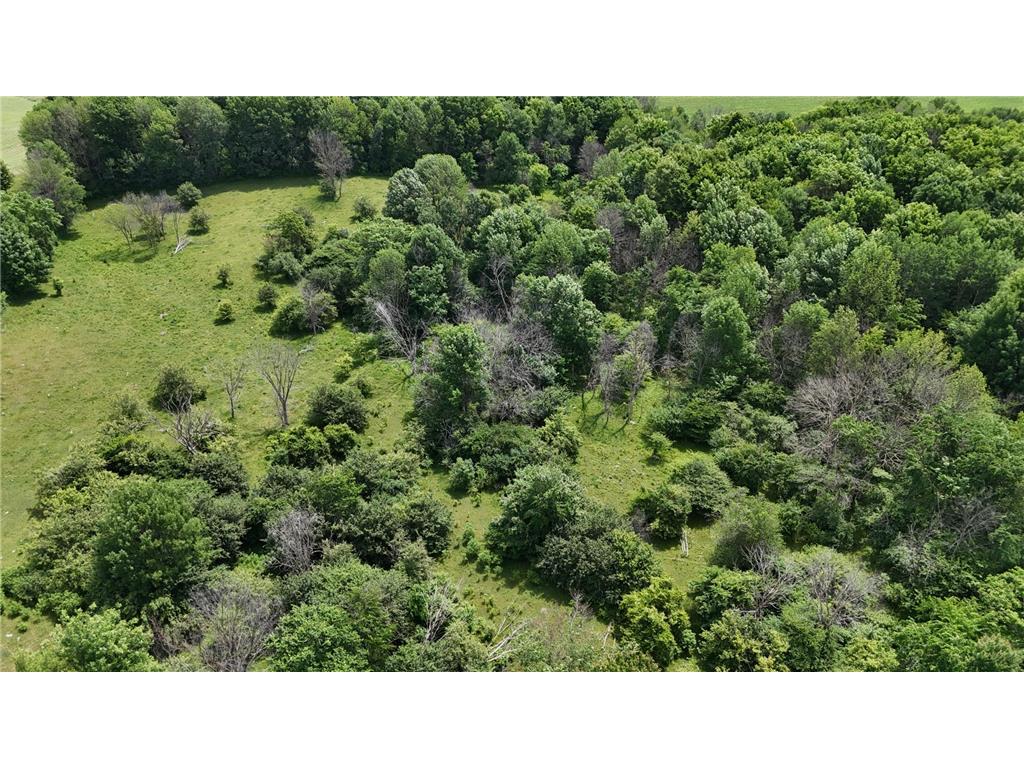 TBD 230th Baldwin WI 54002 7093361 image40