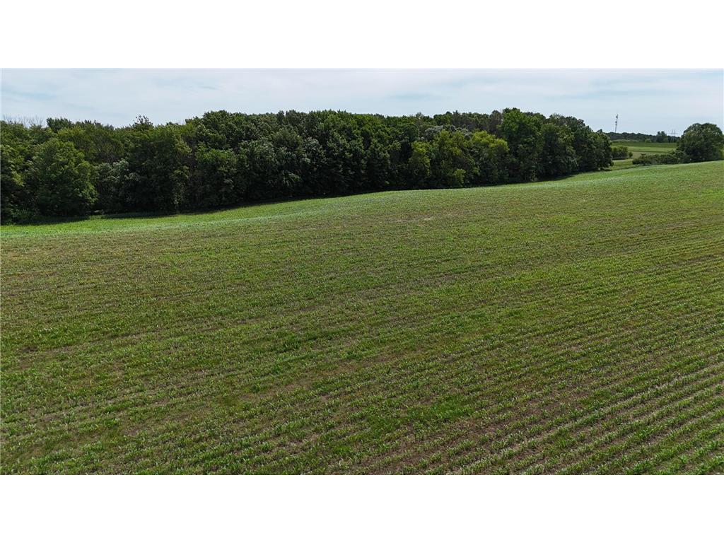 TBD 230th Baldwin WI 54002 7093361 image41