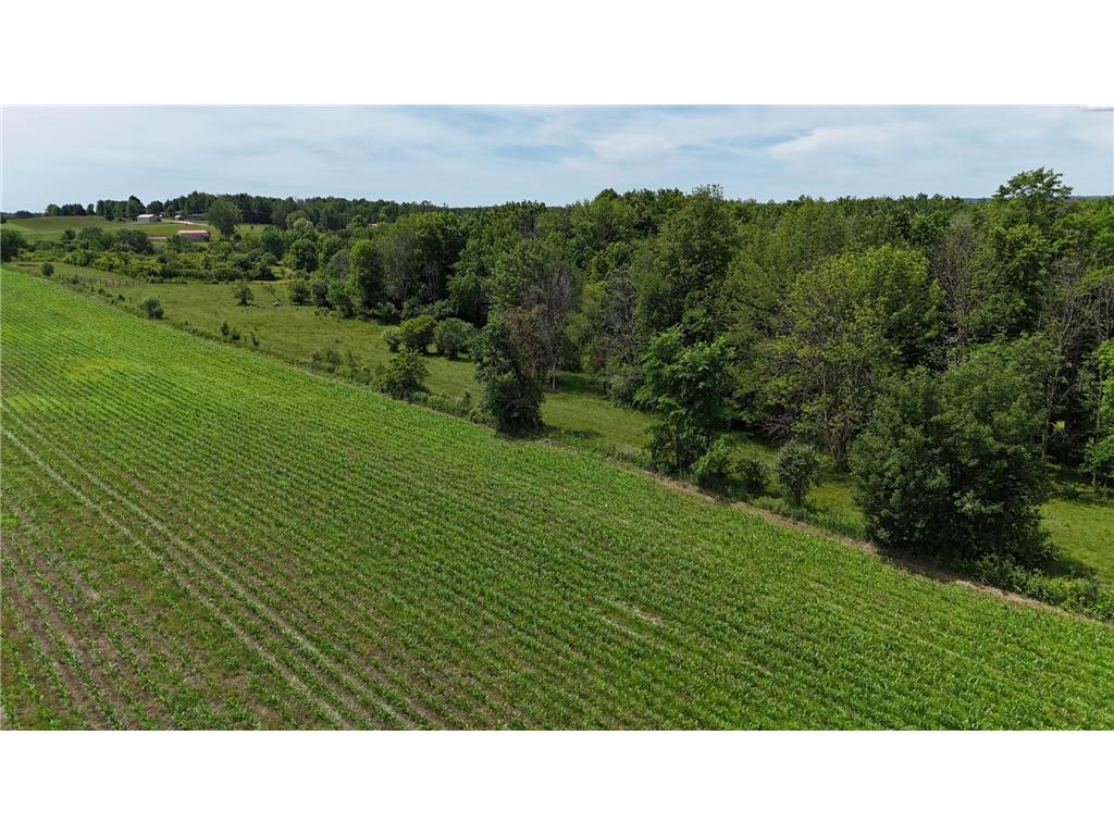 TBD 230th Baldwin WI 54002 7093361 image42