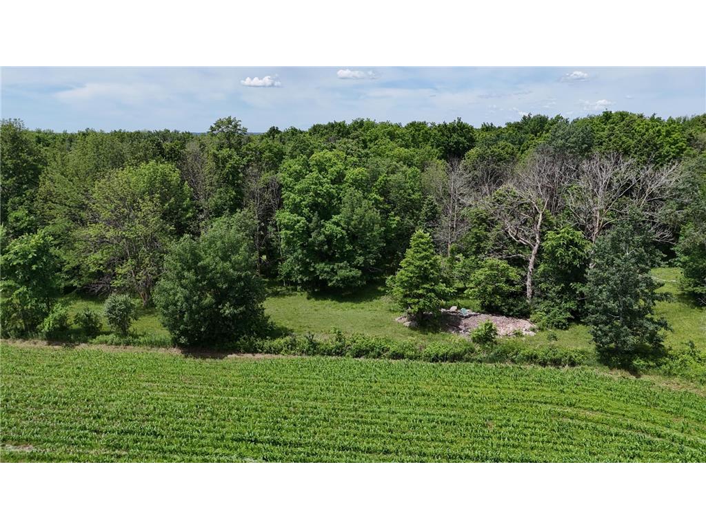 TBD 230th Baldwin WI 54002 7093361 image43