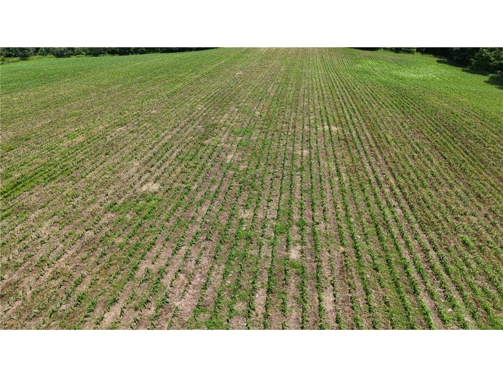TBD 230th Baldwin WI 54002 7093361 image45