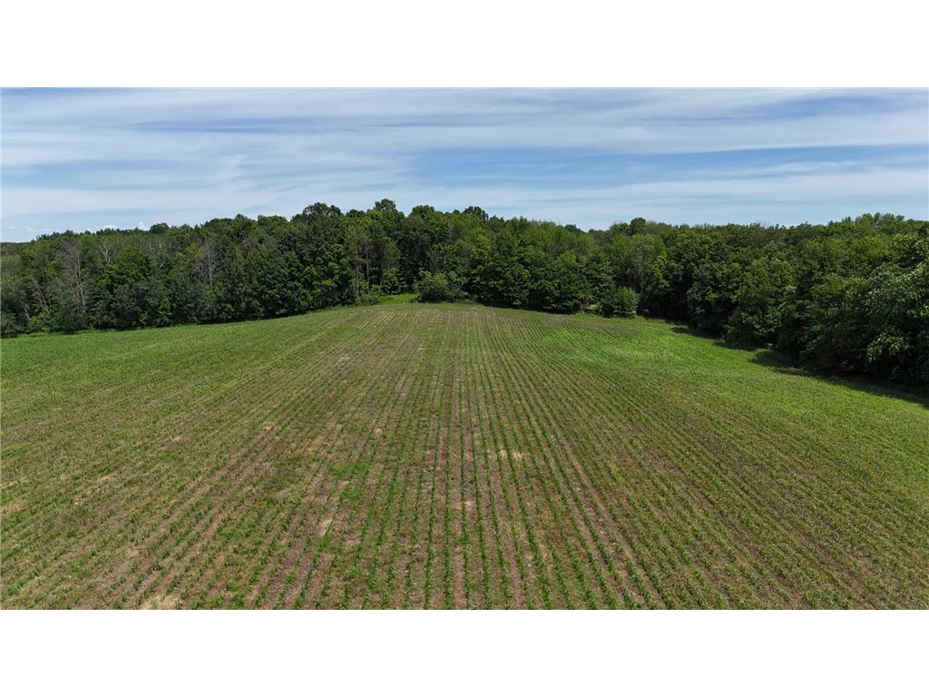 TBD 230th Baldwin WI 54002 7093361 image46