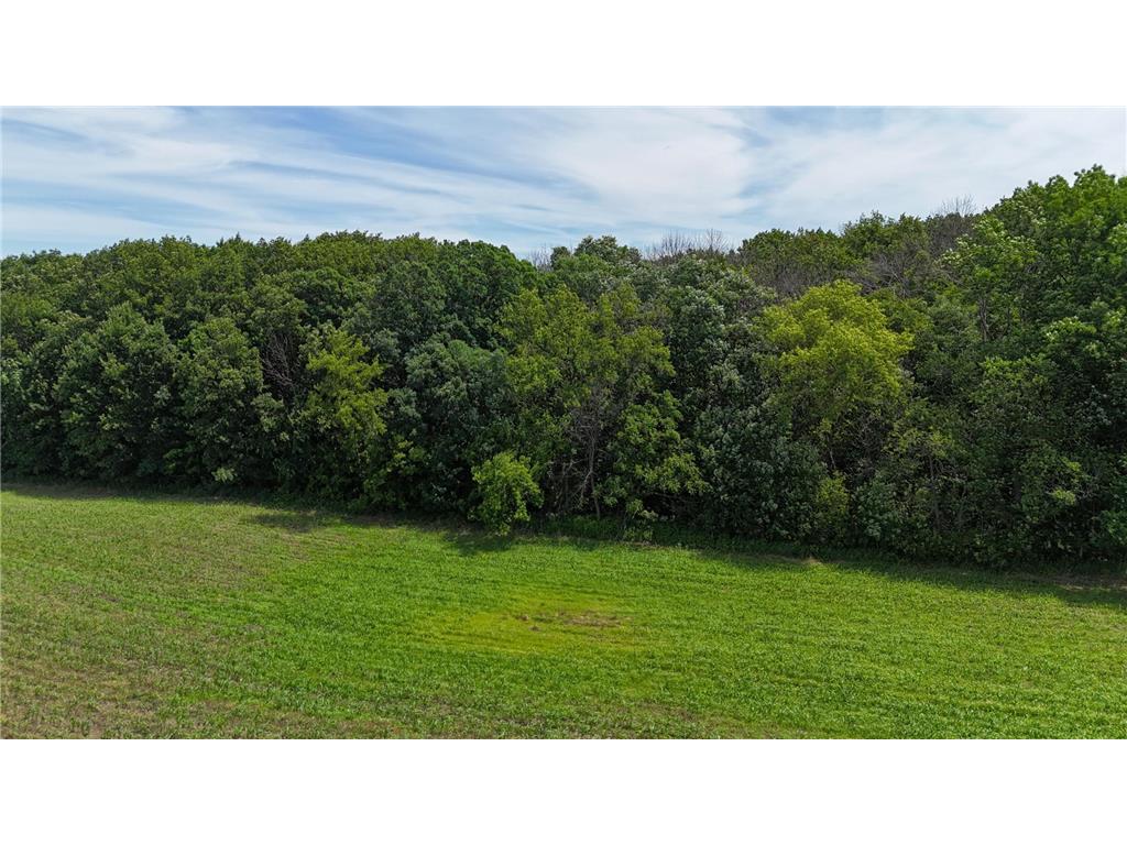 TBD 230th Baldwin WI 54002 7093361 image47