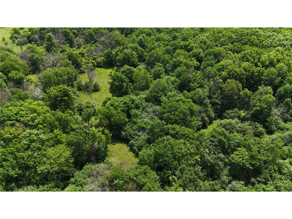 TBD 230th Baldwin WI 54002 7093361 image49