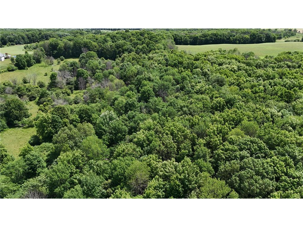 TBD 230th Baldwin WI 54002 7093361 image50