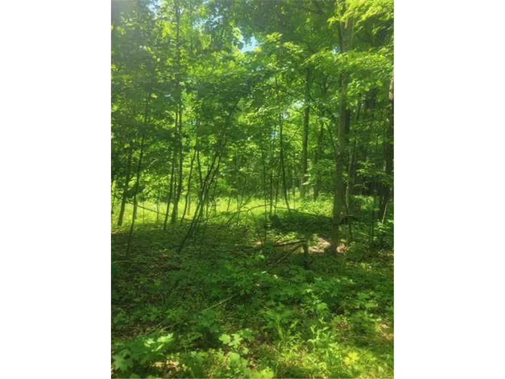 TBD 230th Baldwin WI 54002 7093361 image52
