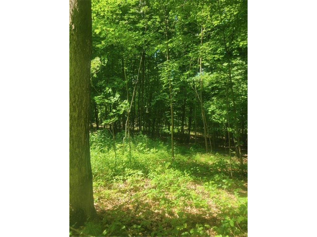 TBD 230th Baldwin WI 54002 7093361 image53