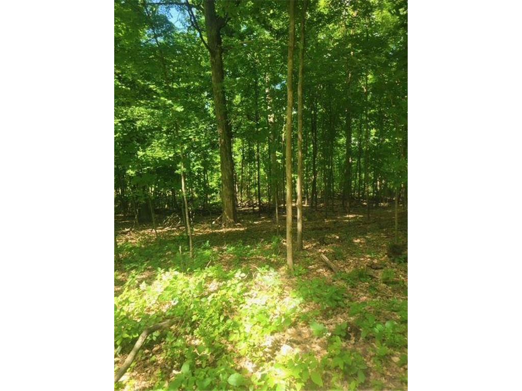 TBD 230th Baldwin WI 54002 7093361 image55