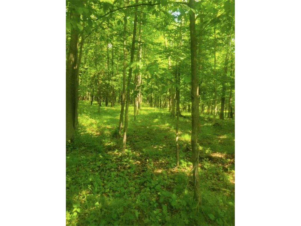 TBD 230th Baldwin WI 54002 7093361 image6