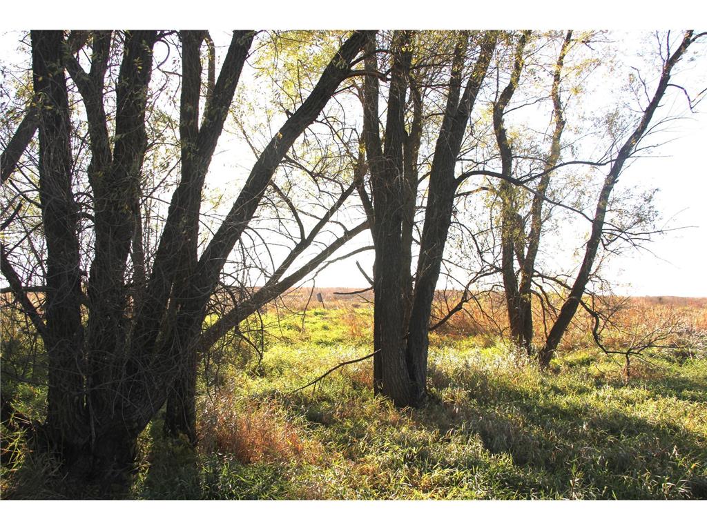 TBD 230th Street Worthington Twp MN 56187 6809735 image11