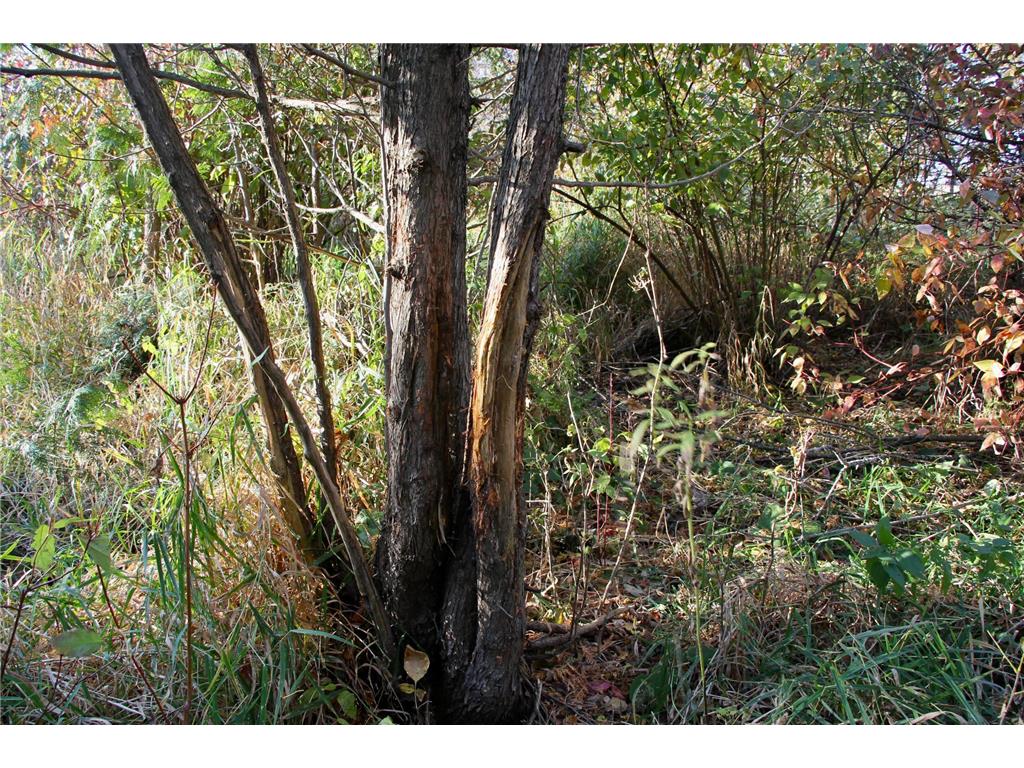 TBD 230th Street Worthington Twp MN 56187 6809735 image12