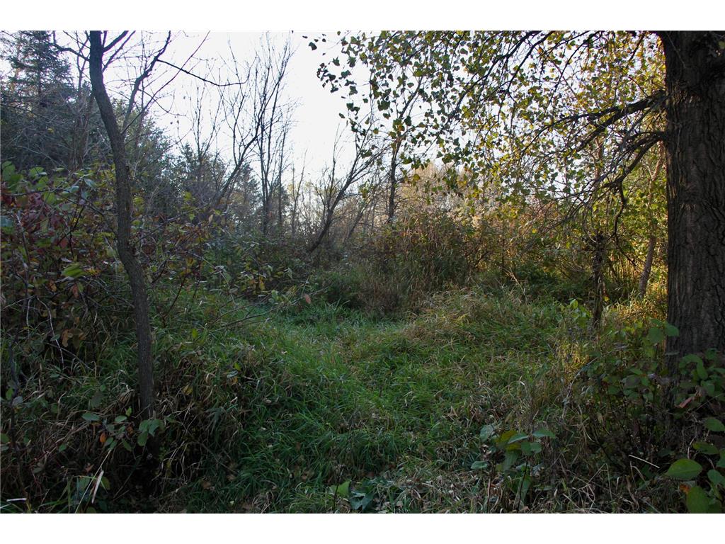 TBD 230th Street Worthington Twp MN 56187 6809735 image13