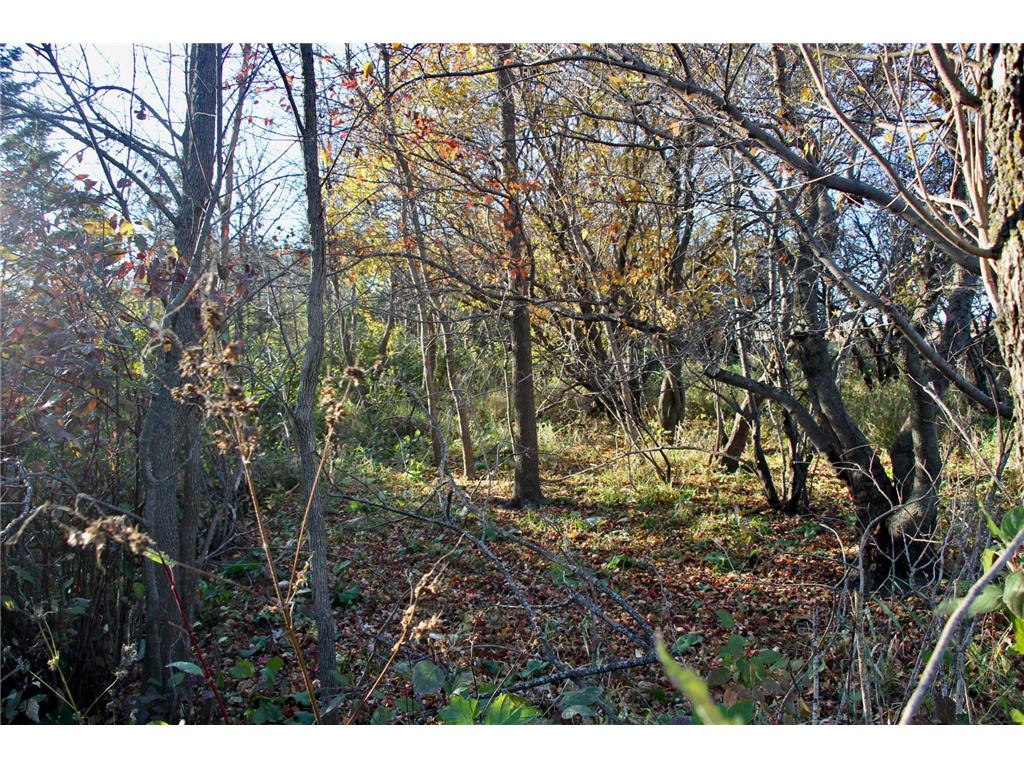 TBD 230th Street Worthington Twp MN 56187 6809735 image14