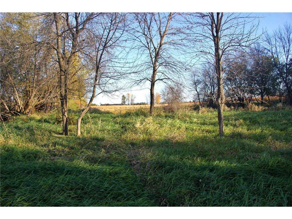 TBD 230th Street Worthington Twp MN 56187 6809735 image15