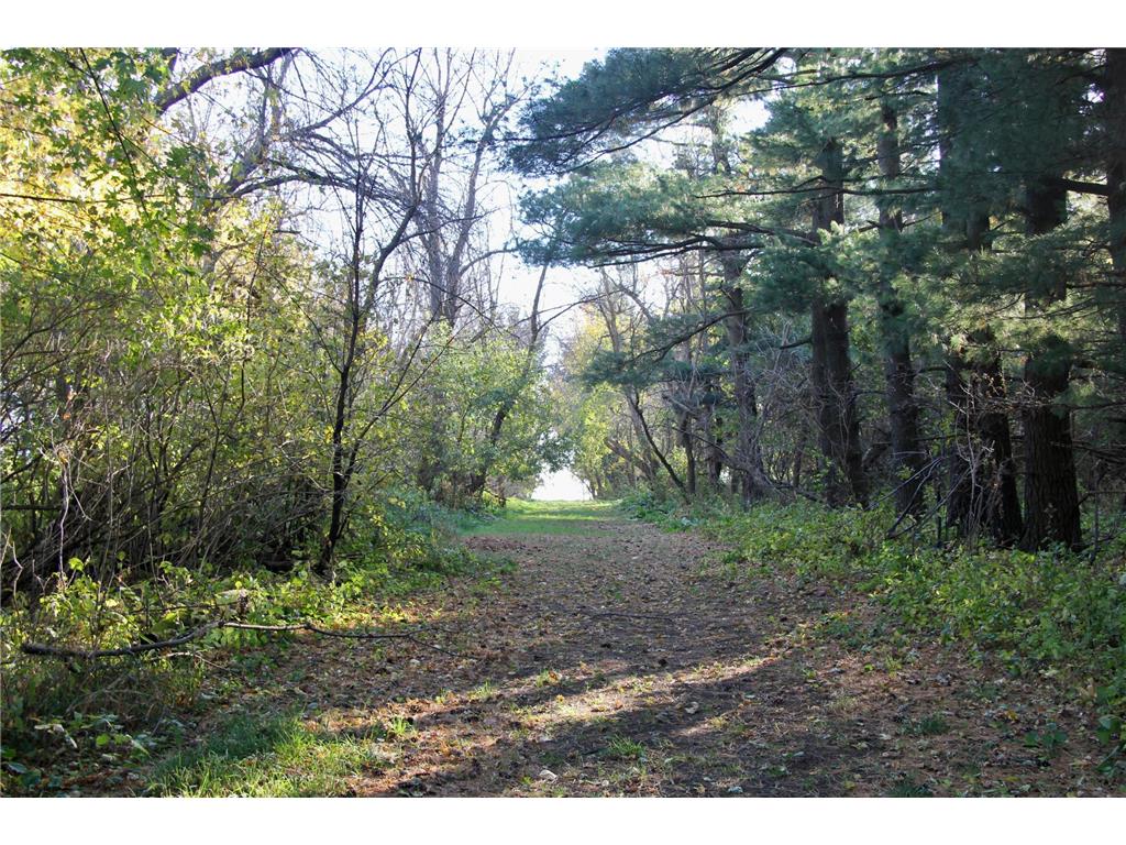 TBD 230th Street Worthington Twp MN 56187 6809735 image17