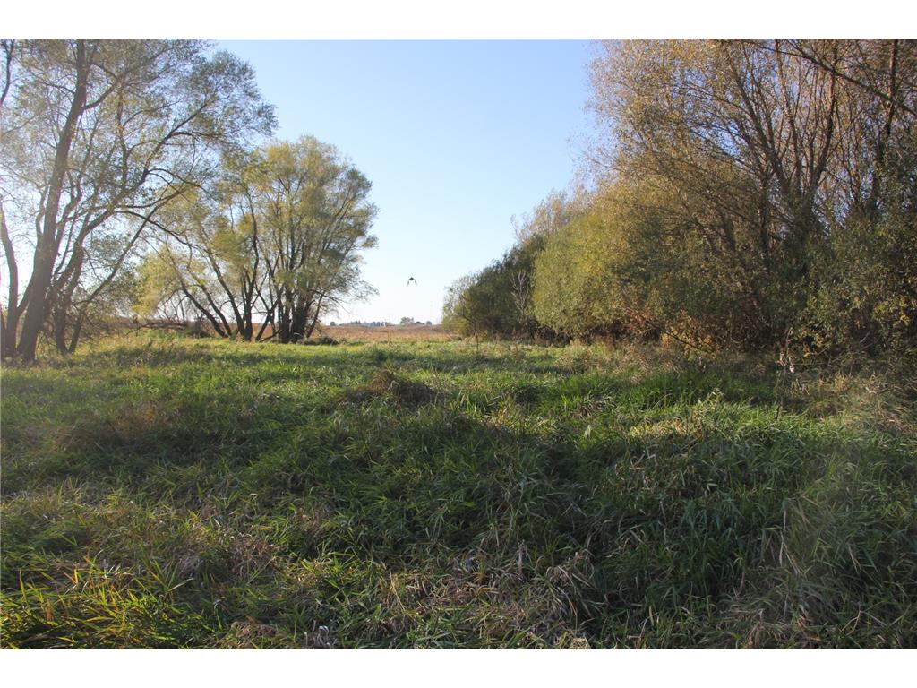 TBD 230th Street Worthington Twp MN 56187 6809735 image18