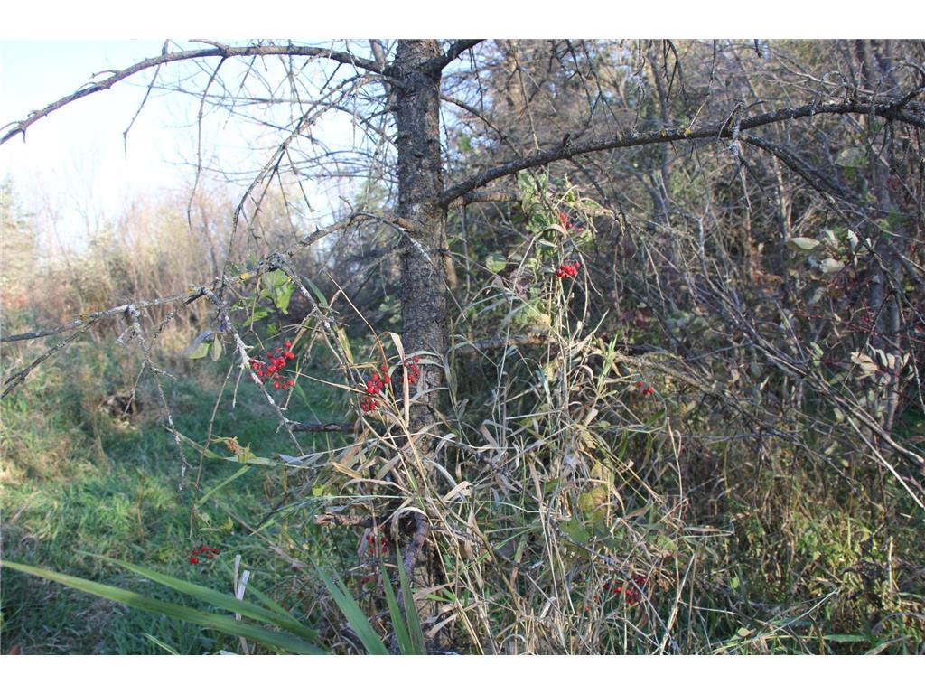 TBD 230th Street Worthington Twp MN 56187 6809735 image19