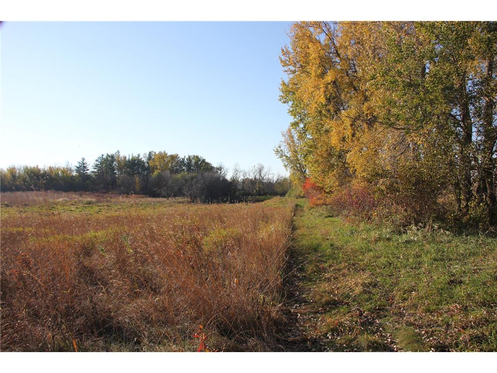 TBD 230th Street Worthington Twp MN 56187 6809735 image2