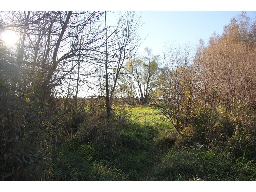 TBD 230th Street Worthington Twp MN 56187 6809735 image20