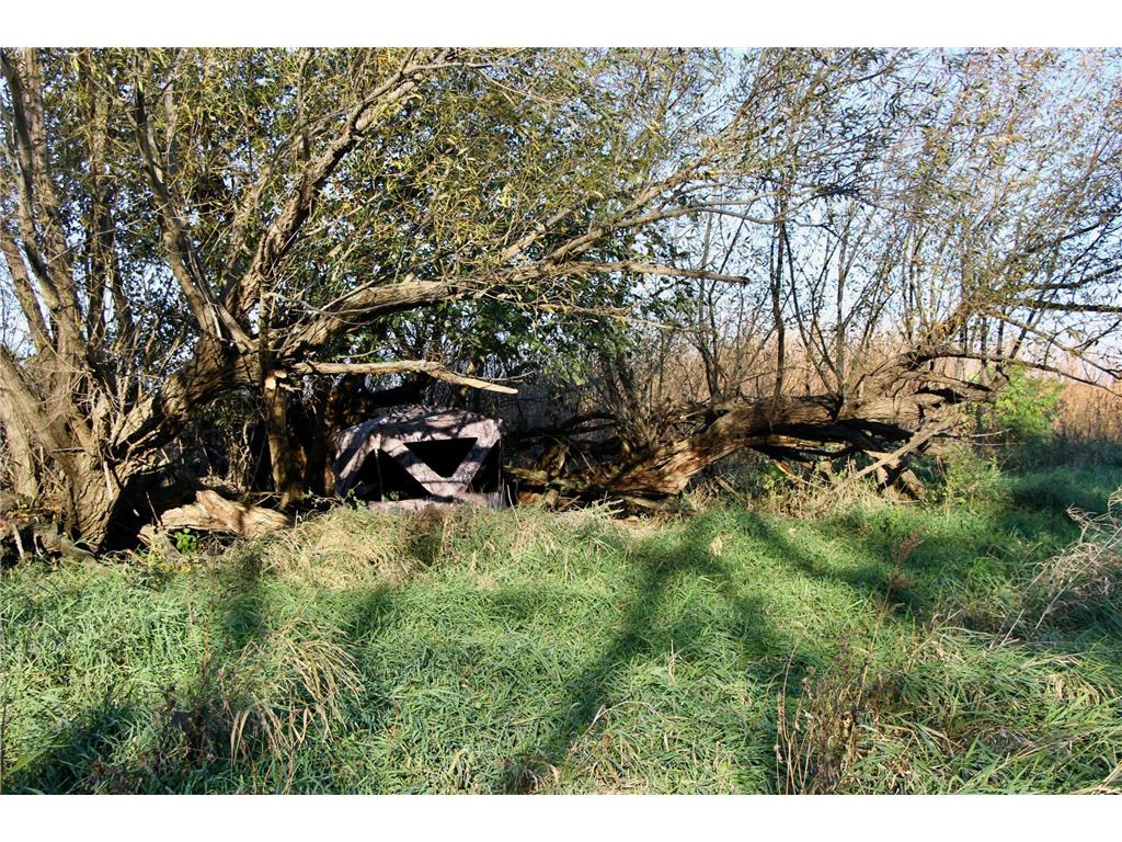 TBD 230th Street Worthington Twp MN 56187 6809735 image21