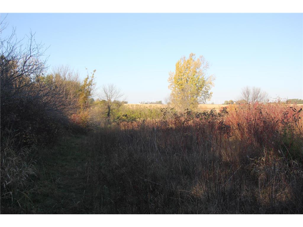 TBD 230th Street Worthington Twp MN 56187 6809735 image23