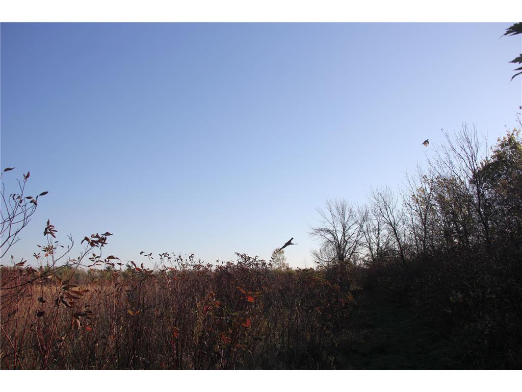 TBD 230th Street Worthington Twp MN 56187 6809735 image25