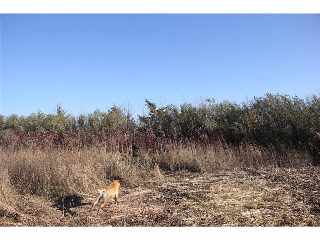 TBD 230th Street Worthington Twp MN 56187 6809735 image26