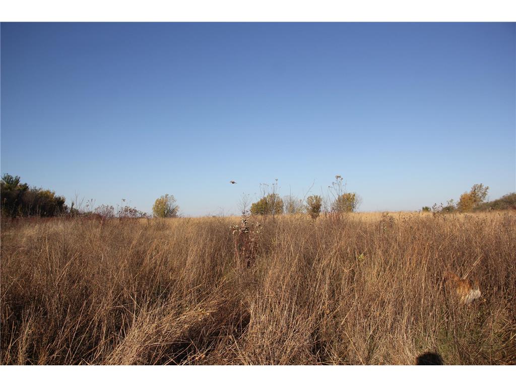 TBD 230th Street Worthington Twp MN 56187 6809735 image28