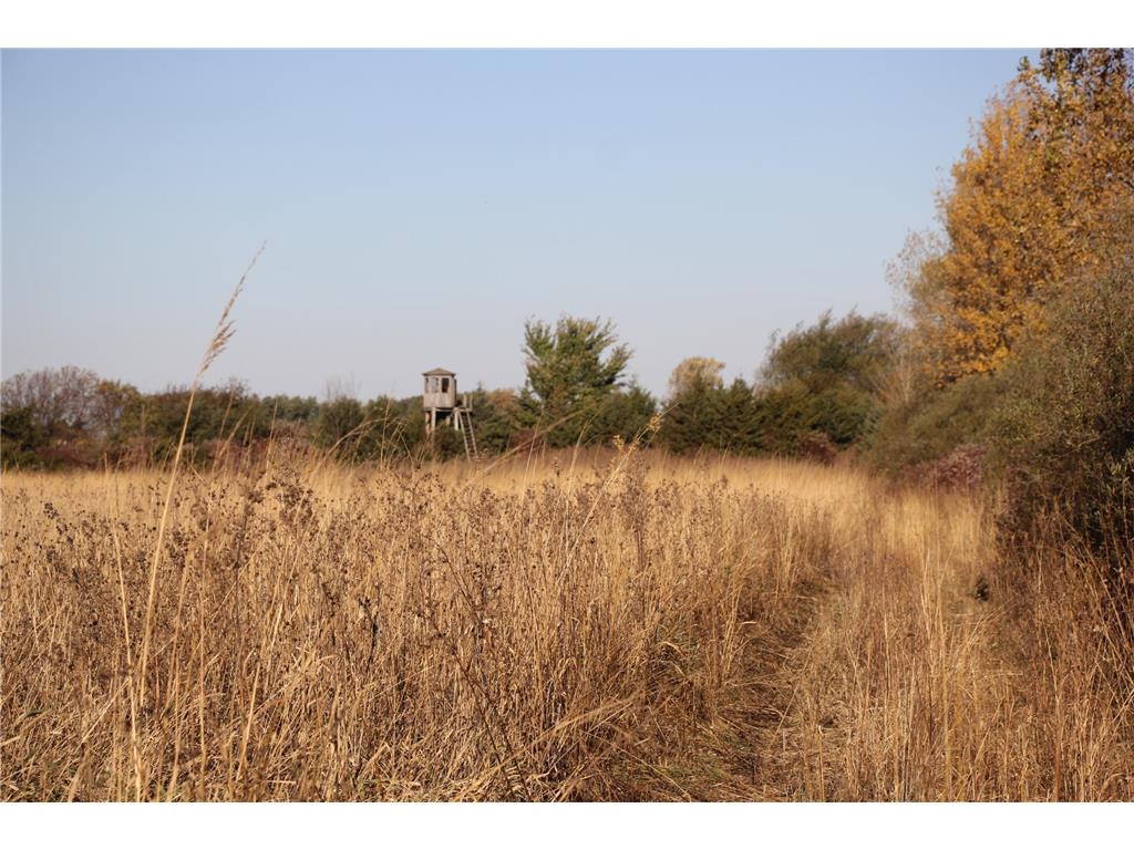 TBD 230th Street Worthington Twp MN 56187 6809735 image29