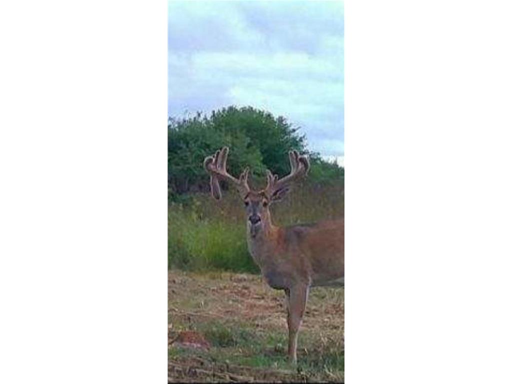 TBD 230th Street Worthington Twp MN 56187 6809735 image3