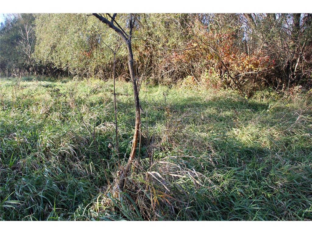 TBD 230th Street Worthington Twp MN 56187 6809735 image30