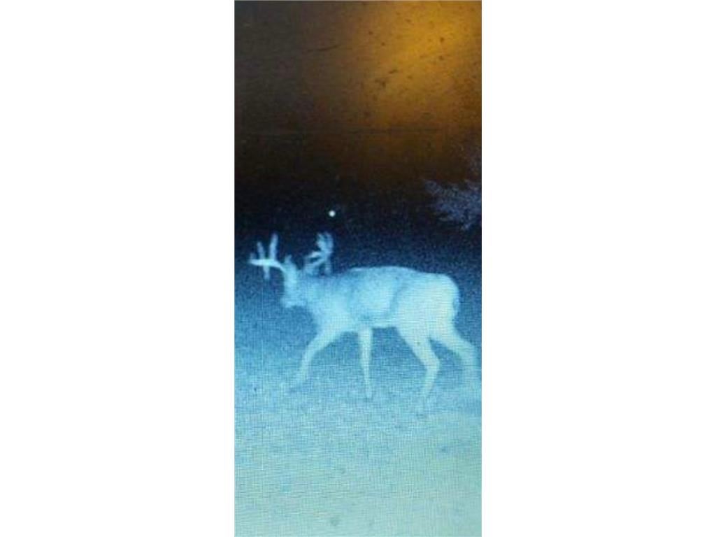 TBD 230th Street Worthington Twp MN 56187 6809735 image33