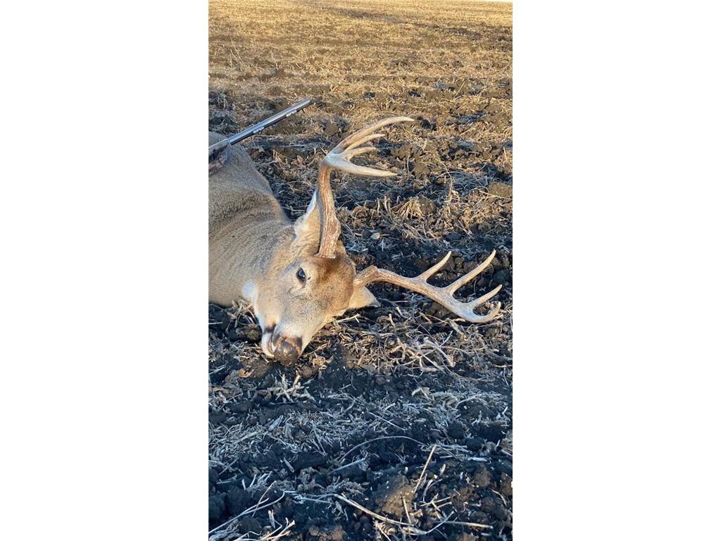 TBD 230th Street Worthington Twp MN 56187 6809735 image34