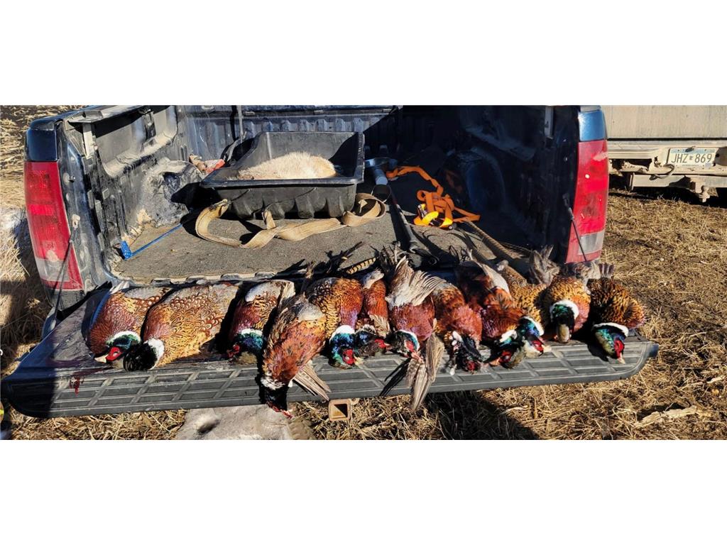 TBD 230th Street Worthington Twp MN 56187 6809735 image35