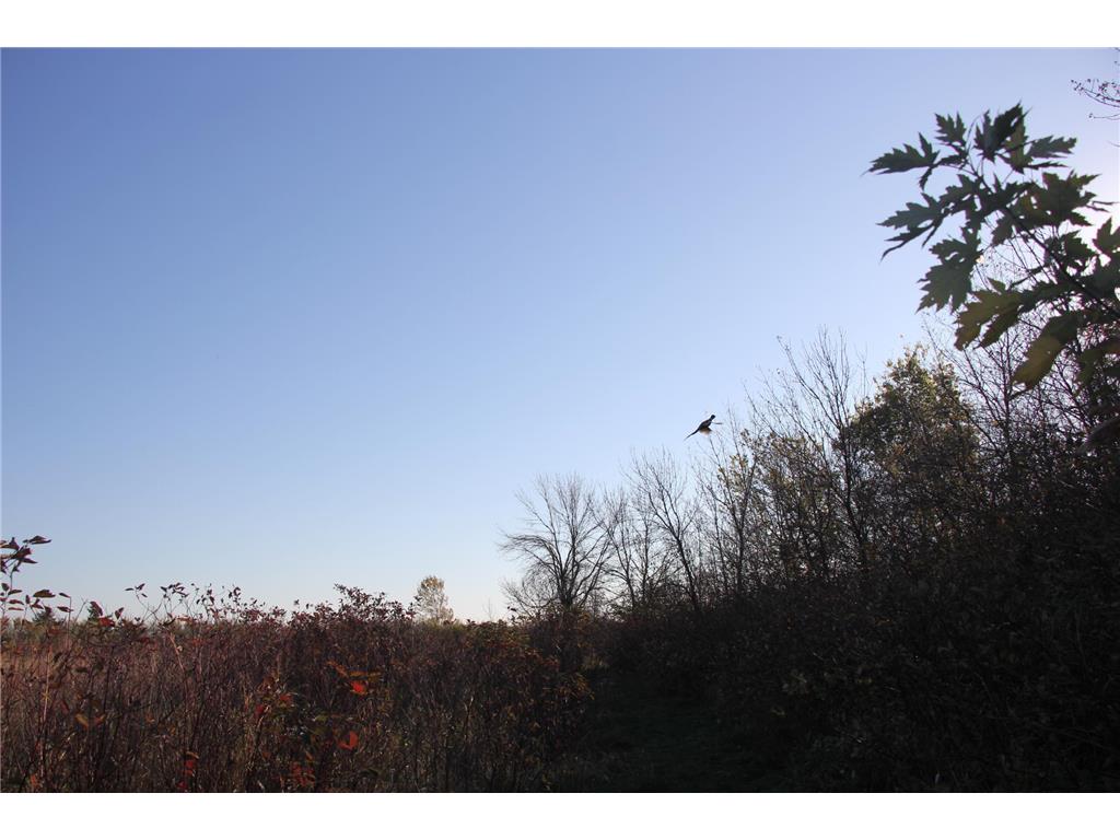 TBD 230th Street Worthington Twp MN 56187 6809735 image5