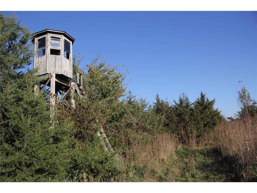 TBD 230th Street Worthington Twp MN 56187 6809735 image7