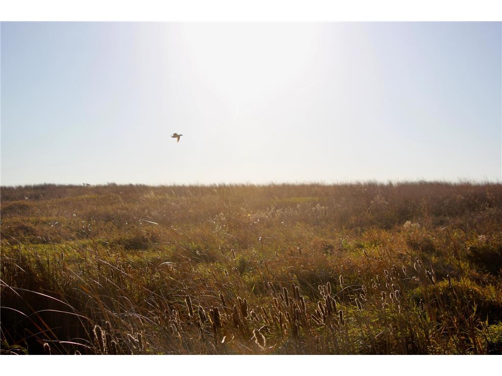 TBD 230th Street Worthington Twp MN 56187 6809735 image9