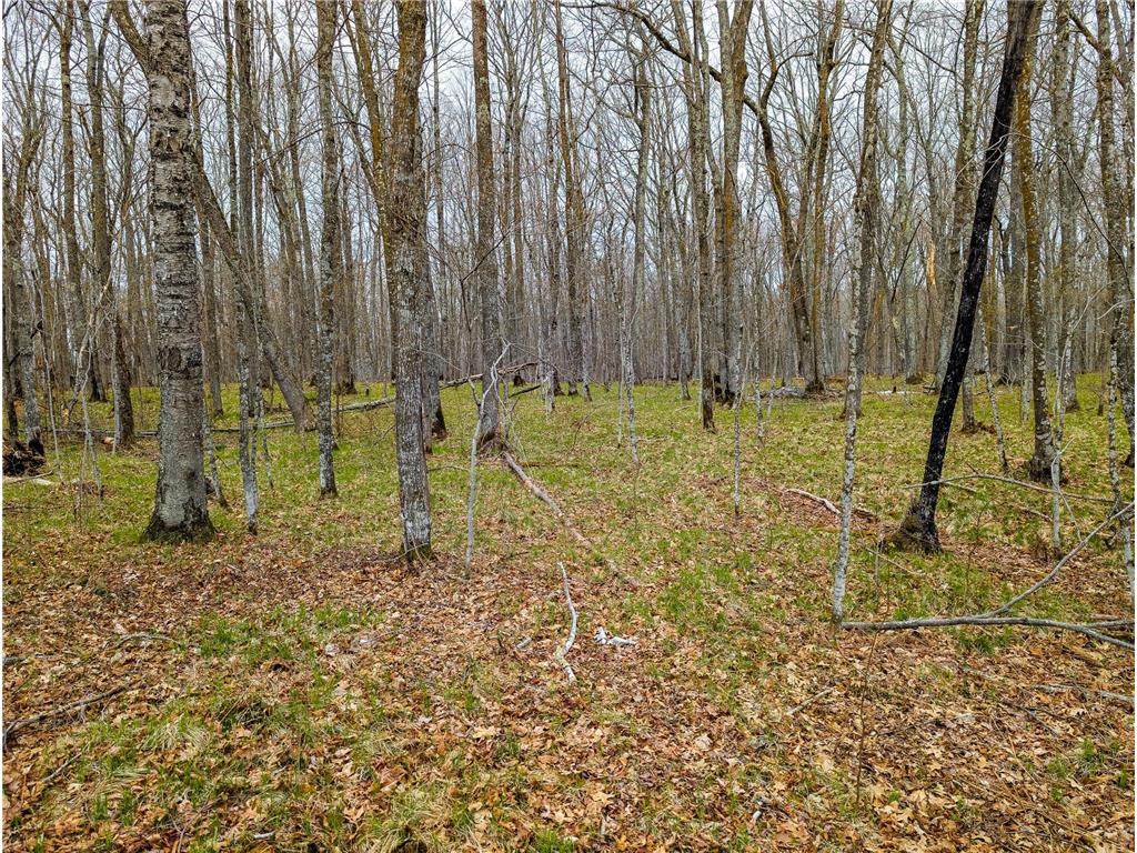 TBD 235th Place Mcgregor MN 55760 7070279 image2