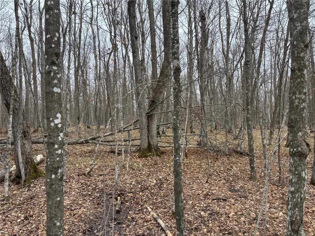 TBD 235th Place Mcgregor MN 55760 7070279 image4