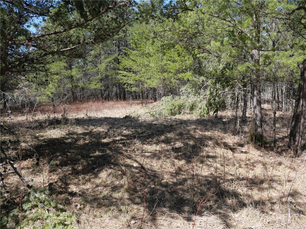 TBD 239th Avenue Nevis Twp MN 56467 6400970 image1