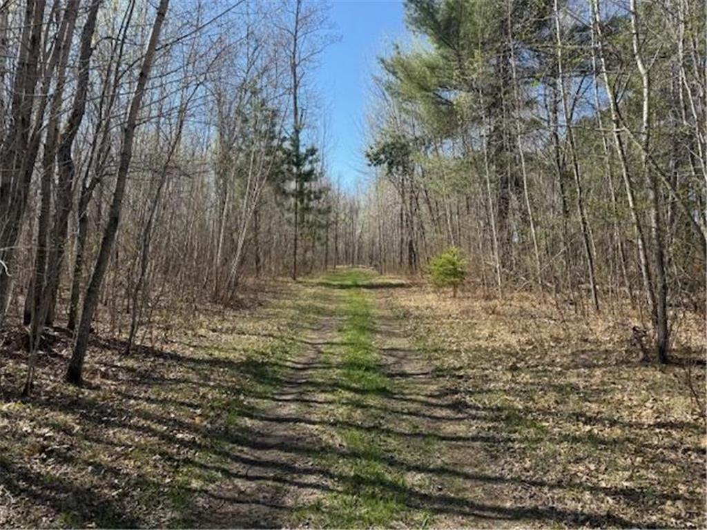 TBD 23rd Street Bemidji MN 56601 6717530 image1