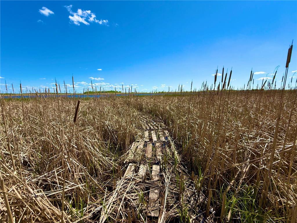 TBD 240th Ave Callaway MN 56521 6822828 image11