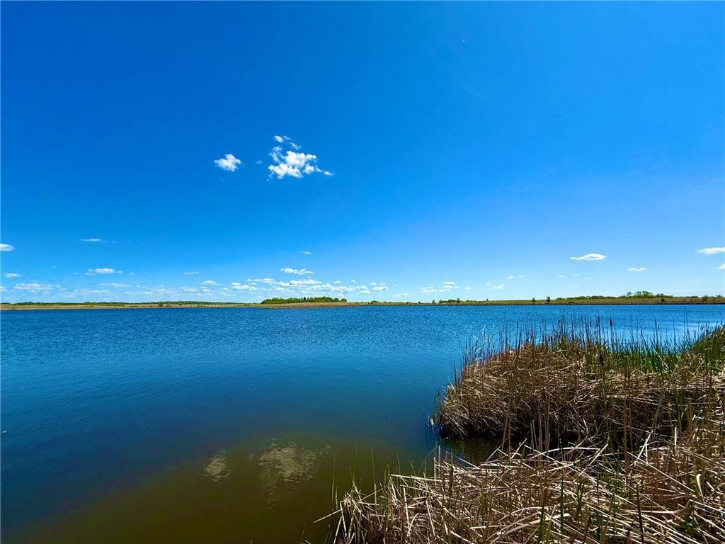 TBD 240th Ave Callaway MN 56521 6822828 image15