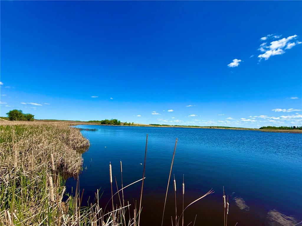 TBD 240th Ave Callaway MN 56521 6822828 image16