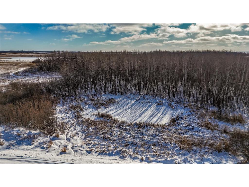 TBD 240th Ave Callaway MN 56521 6822828 image37