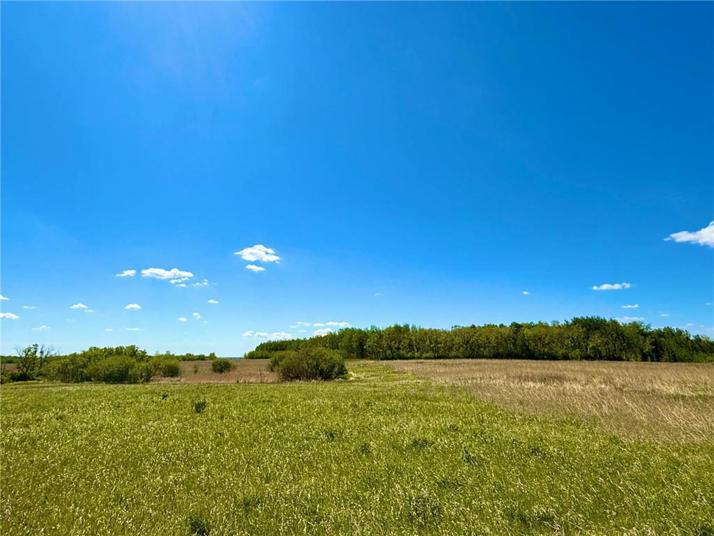 TBD 240th Ave Callaway MN 56521 6822828 image6