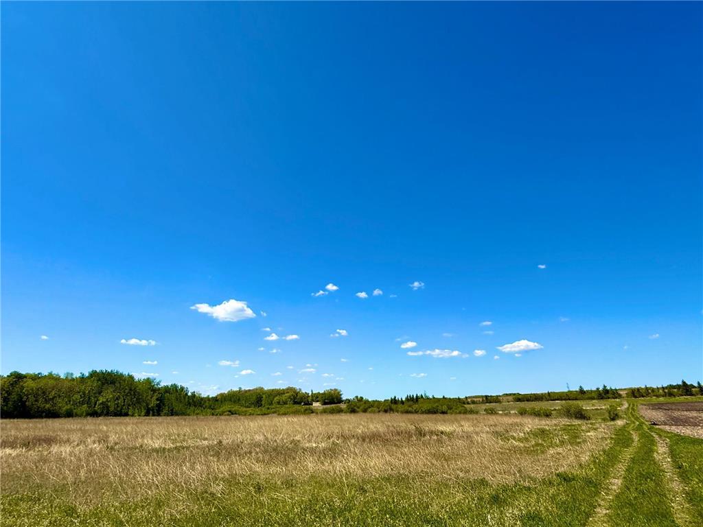 TBD 240th Ave Callaway MN 56521 6822828 image7