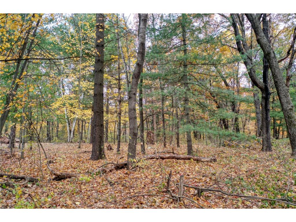 TBD 241st. Linwood Twp MN 55079 - Fawn 6805992 image1