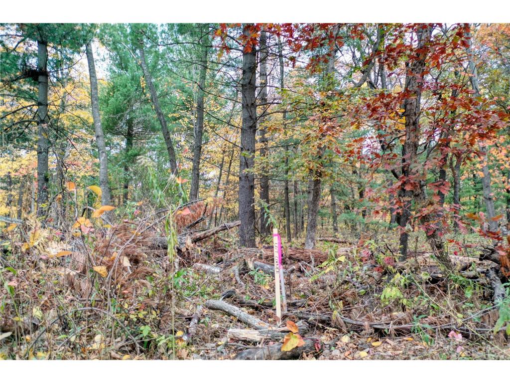 TBD 241st. Linwood Twp MN 55079 - Fawn 6805992 image2