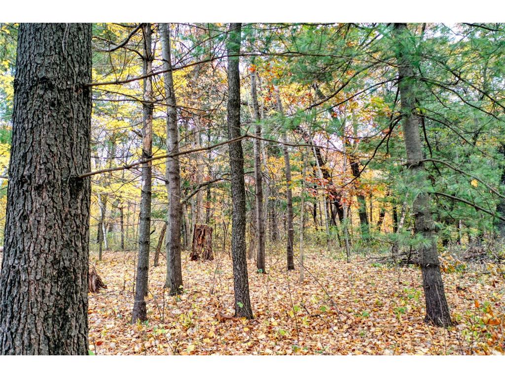 TBD 241st. Linwood Twp MN 55079 - Fawn 6805992 image4